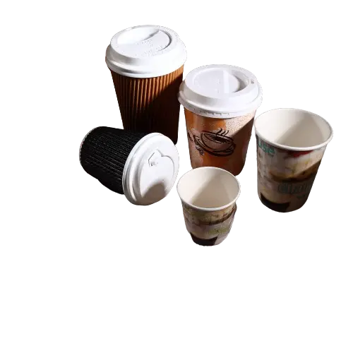 Paper Cup Manufacturer1